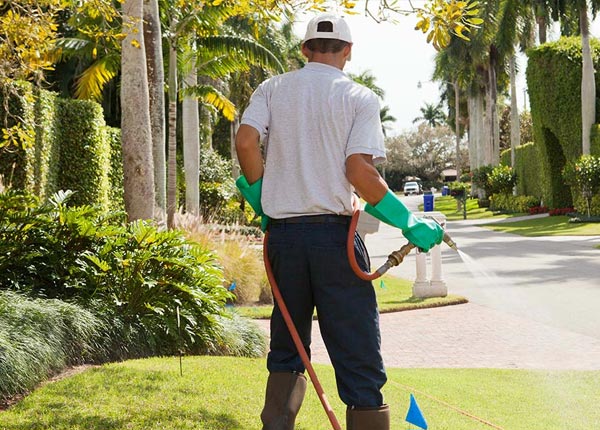 About Painted Post NY Pest Control